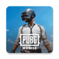 pubg地铁逃生越南服