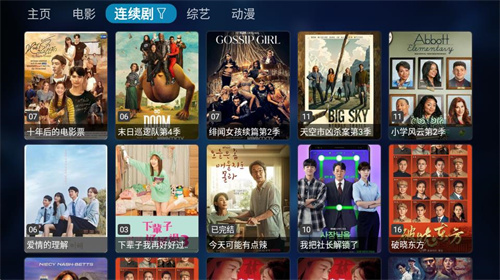 TVbox内置源版截图