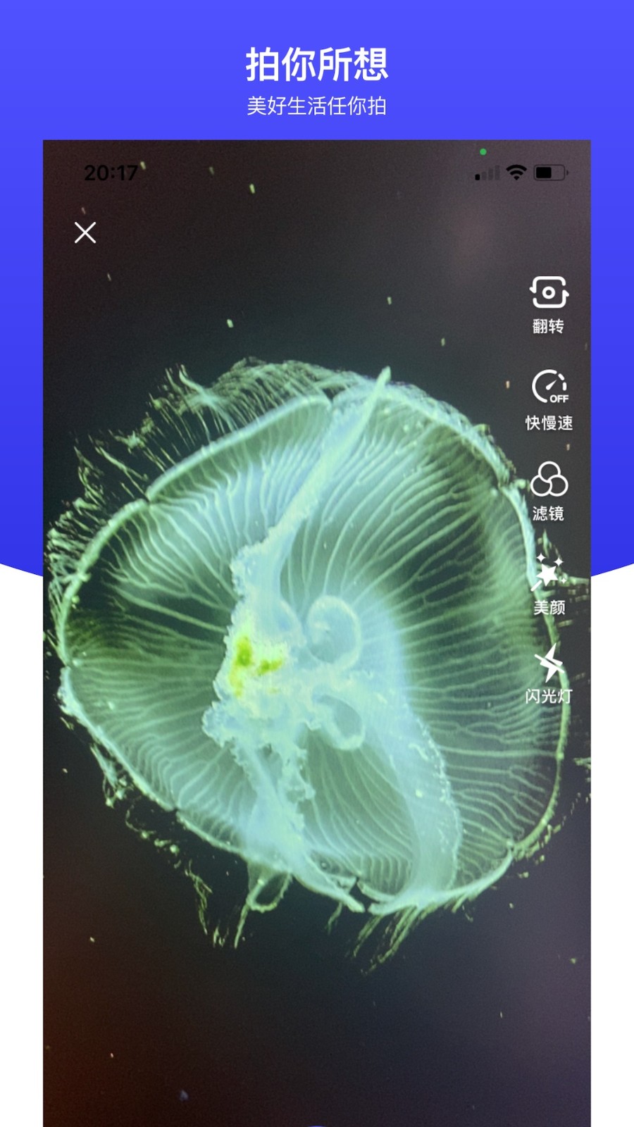 世子播播 V2.6.72 安卓版截图4