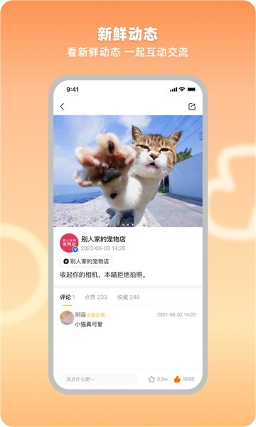 宠业家APP V4.0.11 安卓版截图1