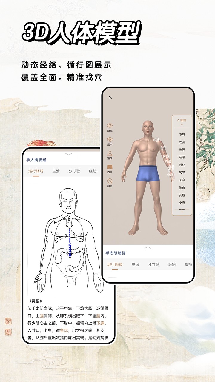 中医经络穴位标准指南APP V2.0 安卓版截图1