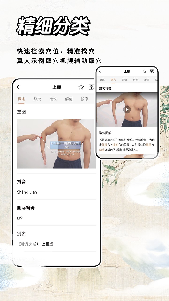 中医经络穴位标准指南APP V2.0 安卓版截图2