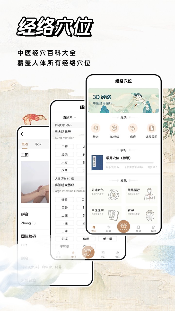中医经络穴位标准指南APP V2.0 安卓版截图5