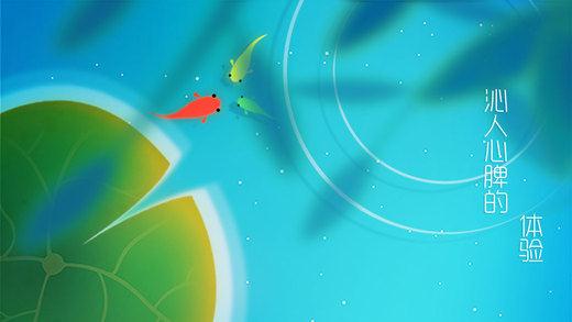 鲤：一条小鱼的净化之旅