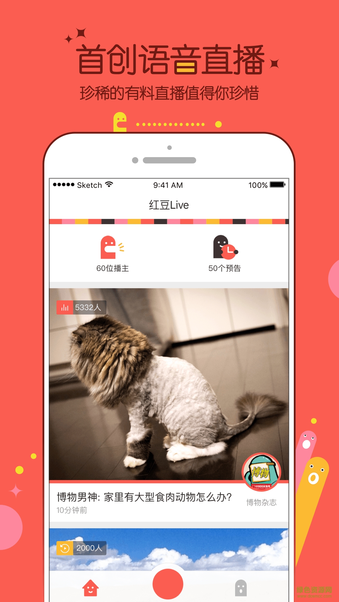 红豆live
