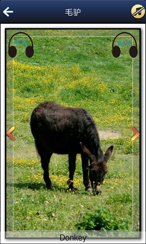 宝宝看图学英语