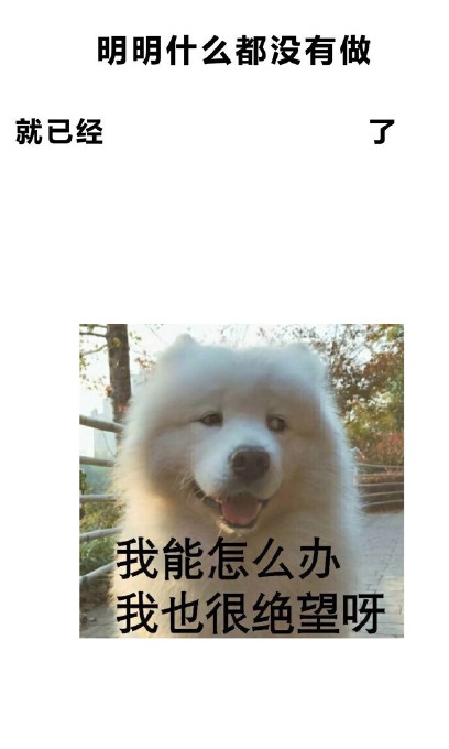明明什么都没做壁纸