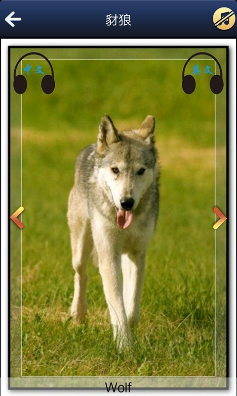 宝宝看图学英语