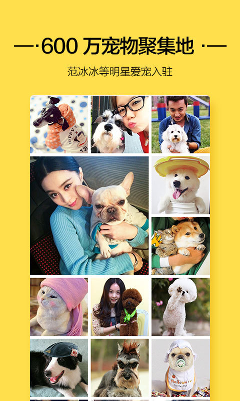 闻闻窝宠物社区