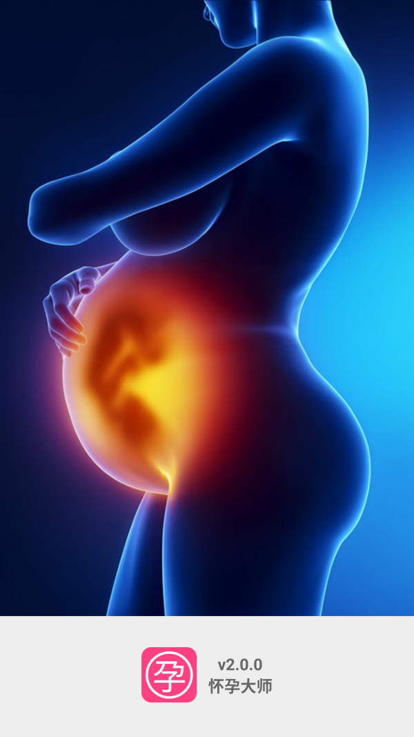 怀孕大师