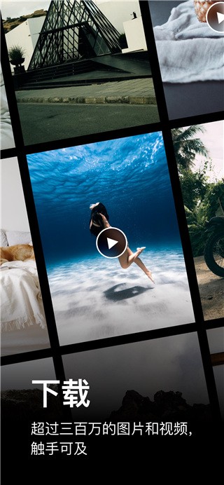 Pexels APP V7.6.4 安卓版截图3