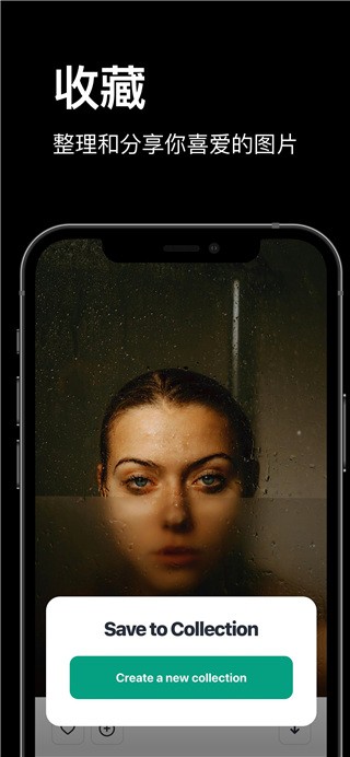 Pexels APP V7.6.4 安卓版截图5