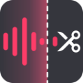 金舟音频大师官方版