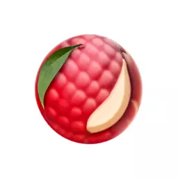 荔枝网