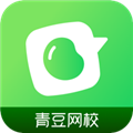 青豆<a href="https://www.downxia.com/zhuanti/868.html" target="_blank" class="keylink">网校APP</a>