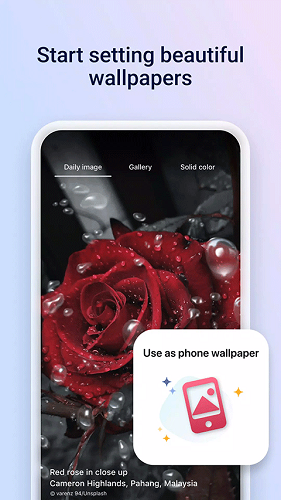 Microsoft Start国际版 V32.5.431030004 安卓版截图2