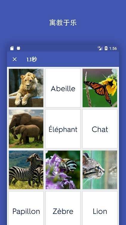 Quizlet正版 V10.12.2 安卓版截图5