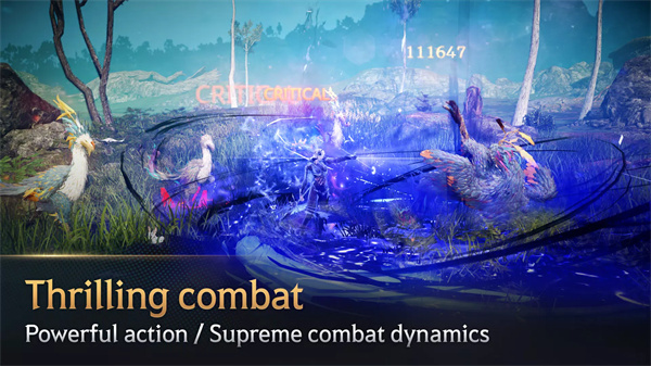 黑色沙漠手游美服 V4.11.73 安卓版截图1