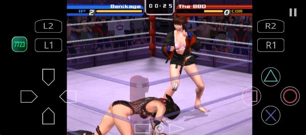 搏击玫瑰日语版 V2.0-4248 安卓版截图1