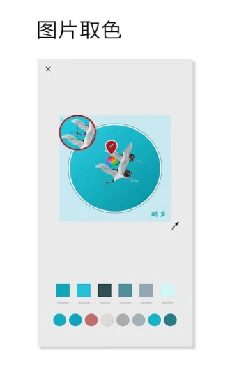 观色配色 V1.060 安卓版截图2