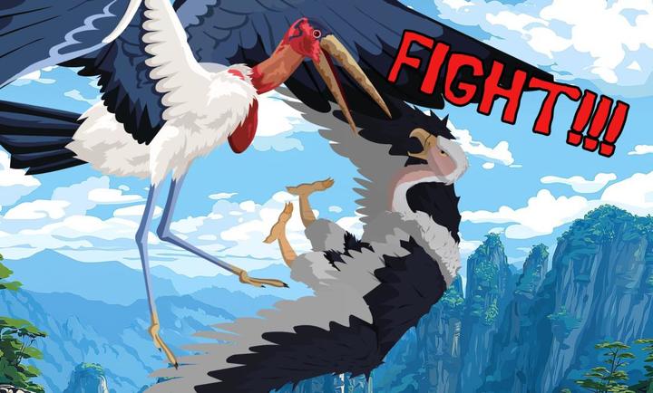 鸟类战争最新版 V1.0 安卓版截图2