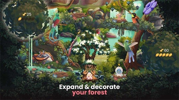 鸟类世界 V1.58 安卓版截图4