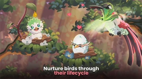 鸟类世界英文版 V1.58 安卓版截图2