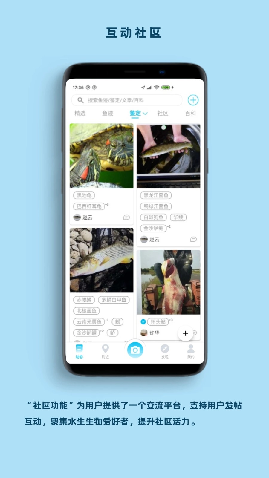 看鱼 V2.8.2 安卓版截图2