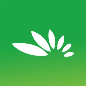 杉宝