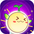 金桔思维APP