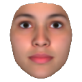 Facegen Artist pro 3.8
