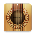Real Guitar