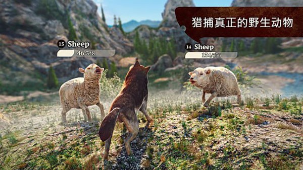 狼族官方版 V5.0.2 安卓版截图1