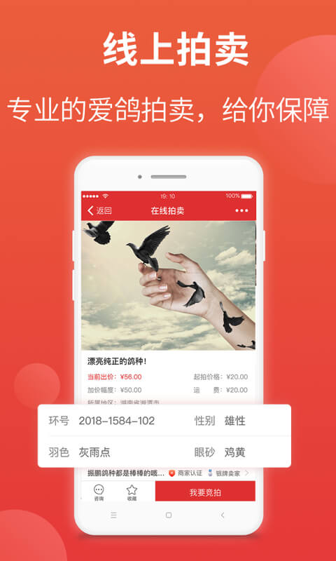 搜鸽天下APP V2.2.4.2 安卓版截图3