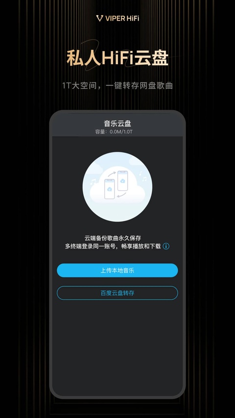 VIPER HiFi V4.3.9 安卓最新版截图2