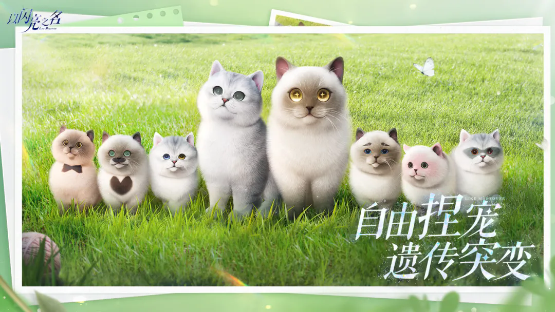 以闪亮之名国服 V2.5.2 安卓版截图3