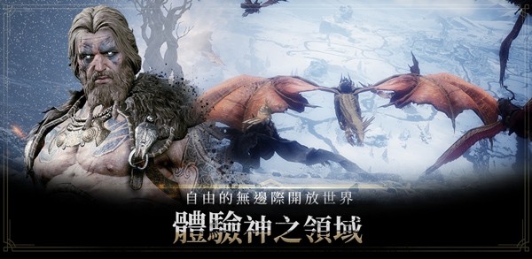 奥丁神叛台服 V1.49.1 安卓版截图2