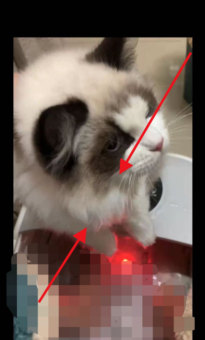 微信怎么缩放视频画面-微信缩放视频大小方式