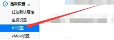 迅雷极速版如何容许连接DHT网络？迅雷极速版允许连接DHT网络的方法