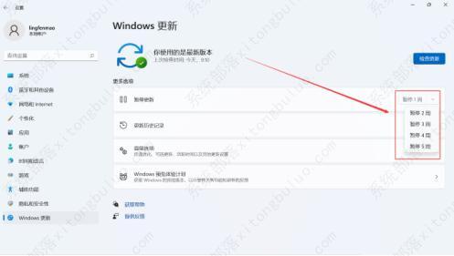 win11如何关闭自动升级?win11升级如何永久性关闭? win11如何关闭自动升级?win11升级如何永久性关闭?