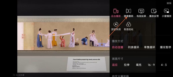 哔哩哔哩镜像翻转在哪儿开-B站设定镜像翻转打开方式 哔哩哔哩镜像翻转在哪儿开-B站设定镜像翻转打开方式