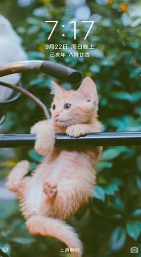 小米手机屏幕失灵是怎么回事-解决小米手机屏幕失灵方式分享