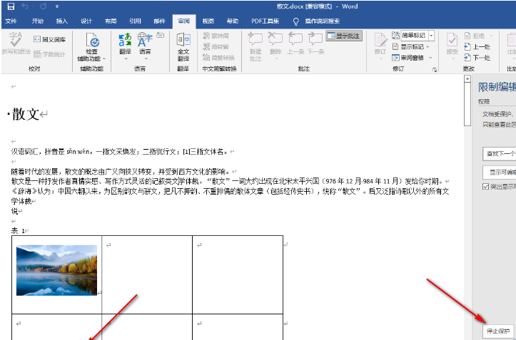 word怎么锁定编辑避免被他人改动-word打开文档保护流程详细介绍 word怎么锁定编辑避免被他人改动-word打开文档保护流程详细介绍