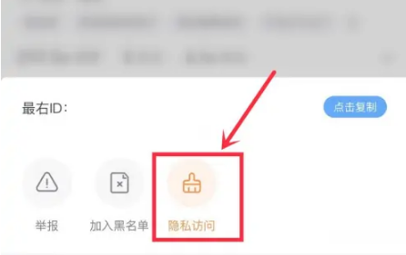 最右如何隐身访问他人主页-最右隐身查询别人主页流程