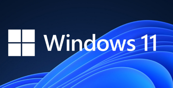 Win11怎么打开Direct3D加速-Win11开启3D加速方式详细介绍
