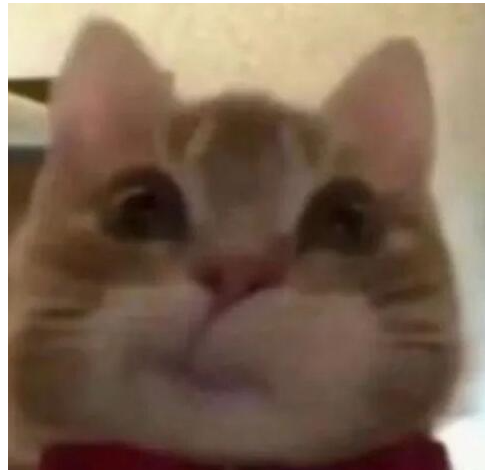 歪嘴小猫是什么意思-抖音歪嘴小猫梗来源详细介绍