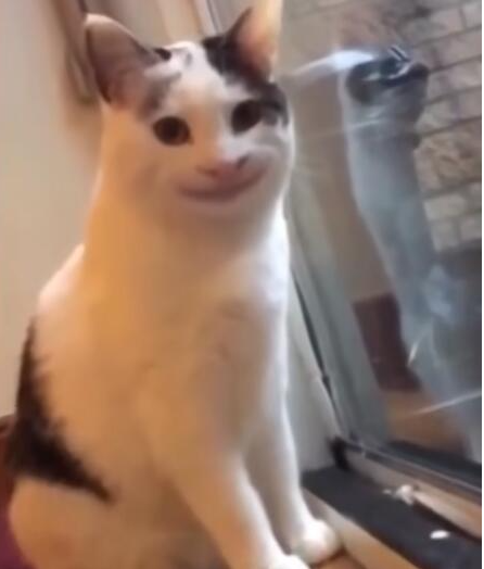 歪嘴小猫是什么意思-抖音歪嘴小猫梗来源详细介绍