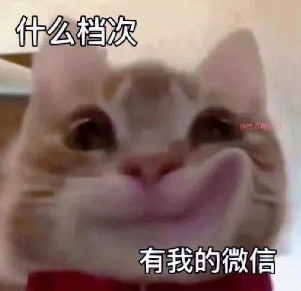 歪嘴小猫是什么意思-抖音歪嘴小猫梗来源详细介绍