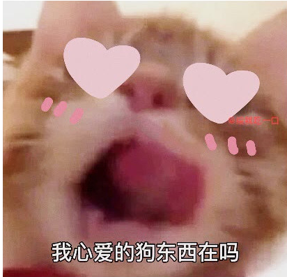 歪嘴小猫是什么意思-抖音歪嘴小猫梗来源详细介绍