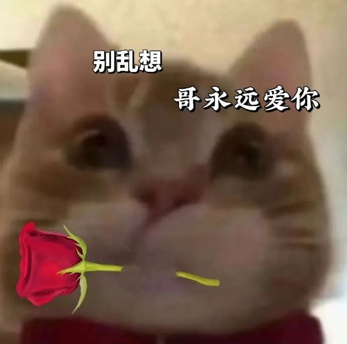 歪嘴小猫是什么意思-抖音歪嘴小猫梗来源详细介绍